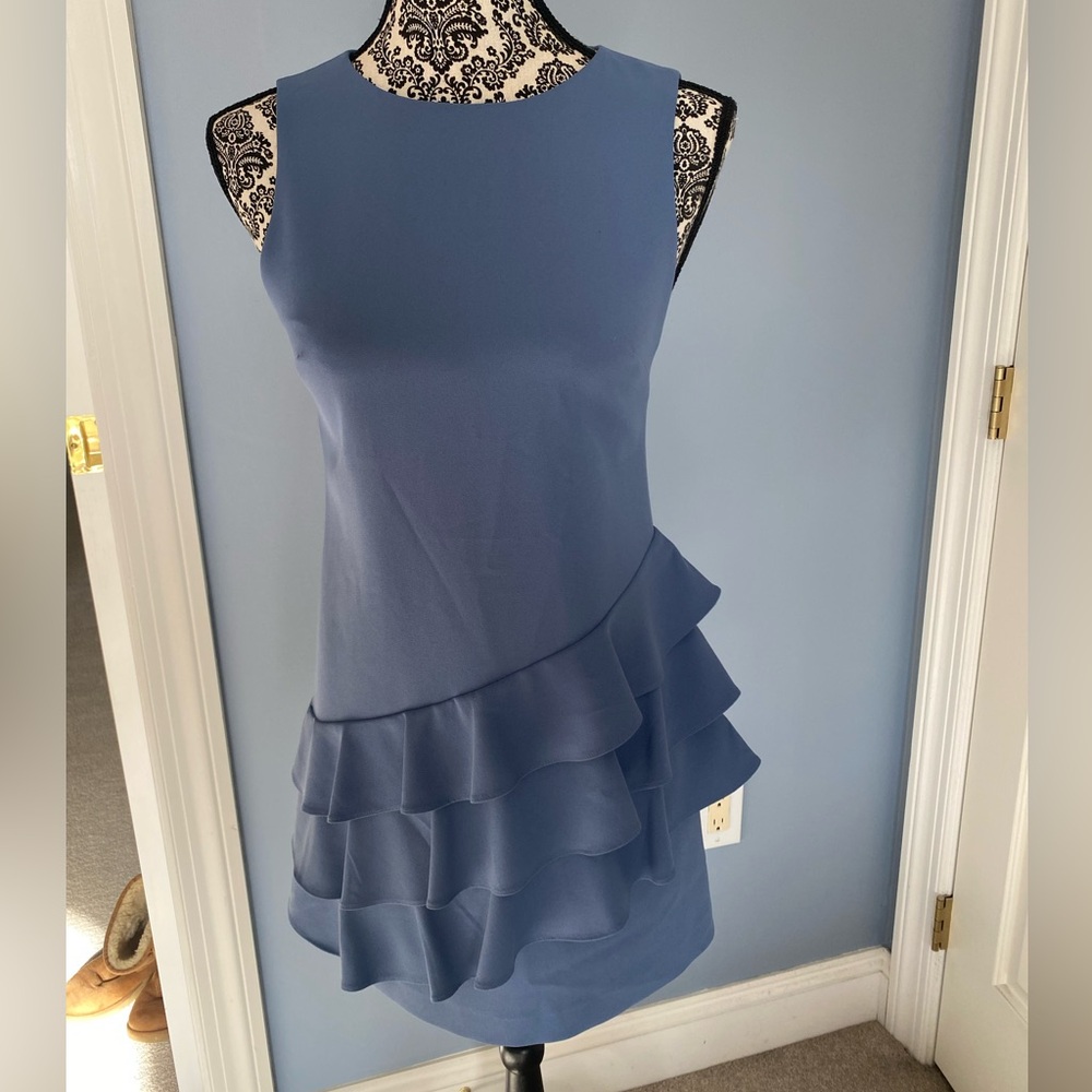 Gorgeous Alice and Olivia dress.